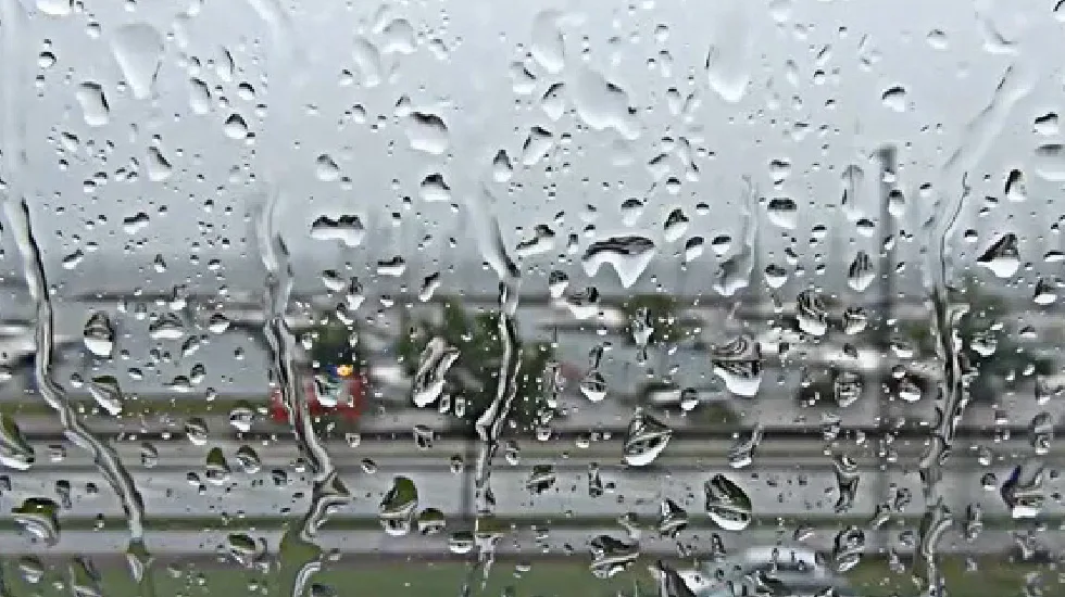 Video Post Format - 麻将胡了21